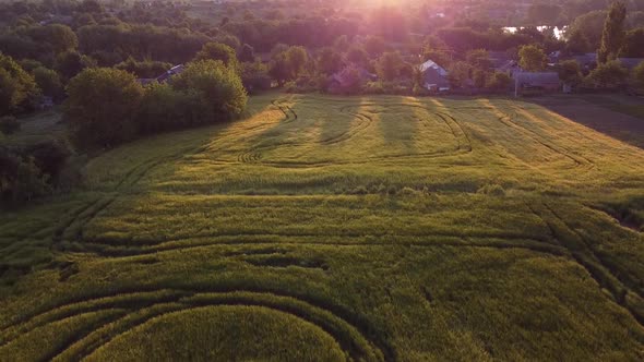 Morning nature near the houses in the village, beautiful landscape