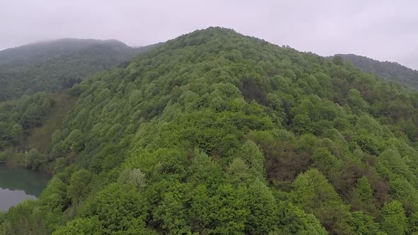 Aerial Green Foggy Forest