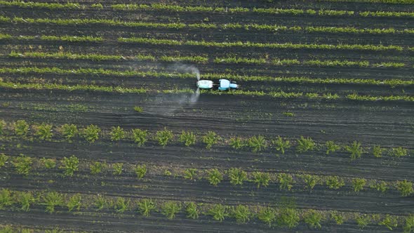 Aerial View of Farming Tractor Spraying on the Field