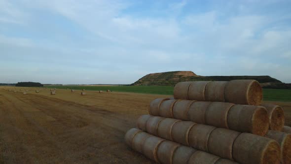 Straw collected in bales after the grain harvest.