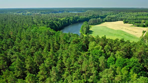 Aerial view of river and forest in sunny day, Poland