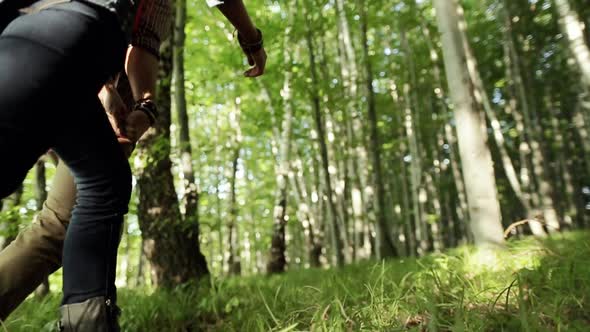 Happy Hikers Walk Through The Woods.