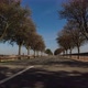 A ride through the avenue of trees - VideoHive Item for Sale