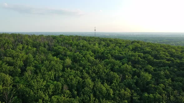 Aerial view, Treetops in a dense wild forest and a cell tower in the distance