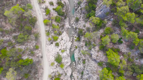 Flight Over a Mountain River and a Trail to a Gorge Among a Coniferous Forest