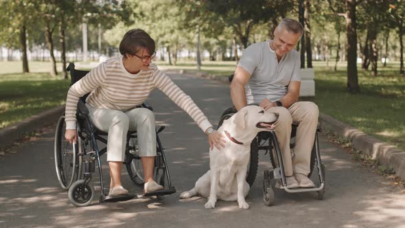 Wheelchair Couple with Dog in Park