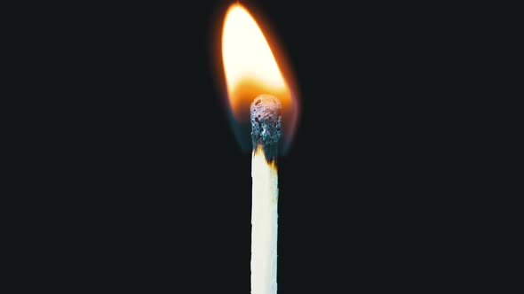 Igniting Match and Flame on a Black Background