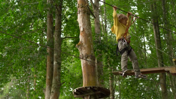 Little Boy in a Safety Harness Climbs on a Route in Treetops in a Forest Adventure Park
