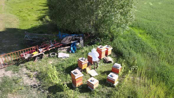 aerial Beekeeper harvesting honey drone