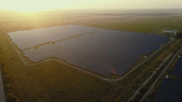 Aerial View of Solar Panels Farm Solar Cell with Sunlight