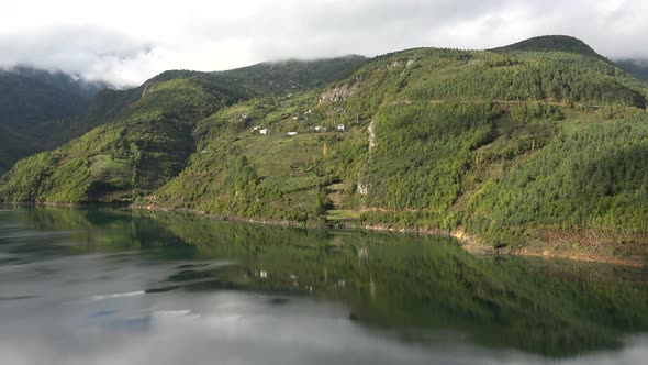 Fjords in Forest