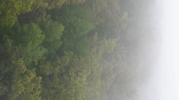 Vertical Video Fog in the Forest Aerial View