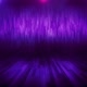 Purple Fashion Stage Background 4K - VideoHive Item for Sale