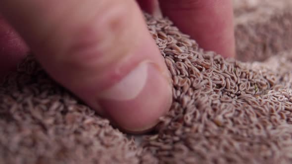 Hand takes a pinch of whole psyllium seeds. Falling on a heap in slow motion. Macro