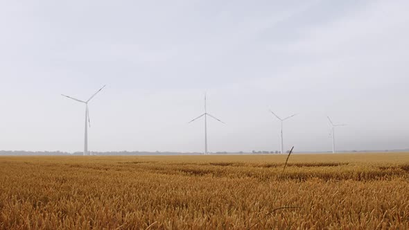 Wind Turbines in Wheat Field