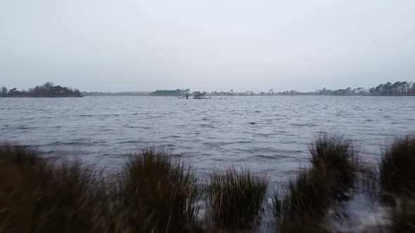 Low altitude flying over lake water and coastal plants on moody day