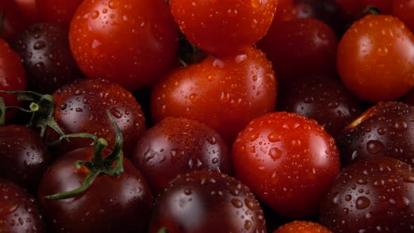 Cherry tomatoes on a black background in water drops.