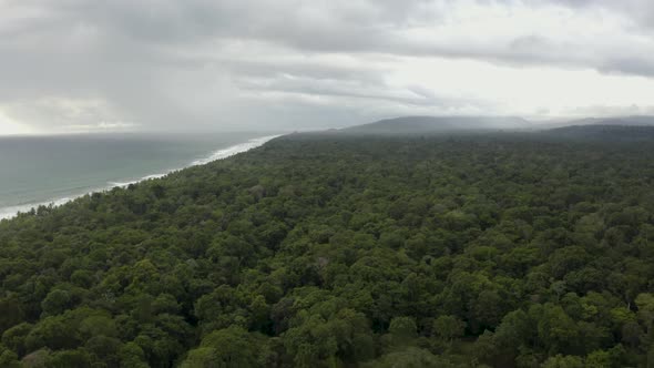 Aerial flies over a huge endless jungle, tilting towards the Ocean. Colombia