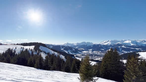 Sunny Sky and Snow Covered Beautiful Fir Forest Trees