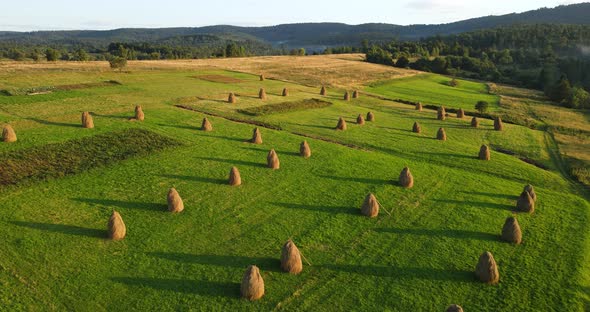 Sheaves Of Hay In The Field. Countryside. Carpathian Mountains