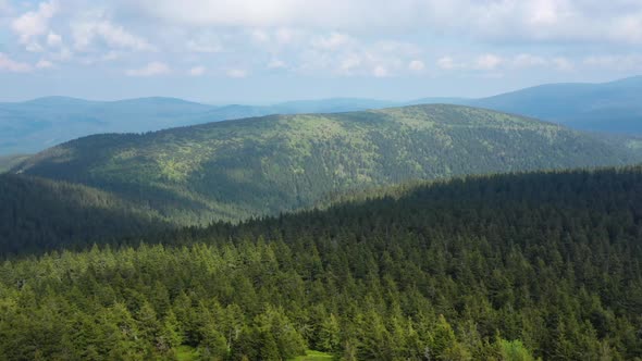 Beautiful aerial view of the forest. Mountains of the Czech Republic. Hrubý Jeseník. Czech landscape