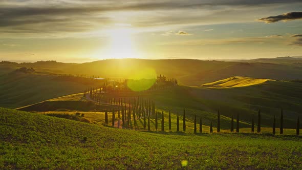 Tuscany Landscape Road Cypresses Hill Sunset