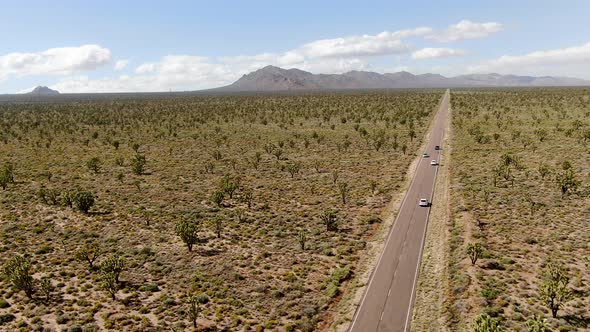 Aerial View of Endless Desert Straight Dusty Asphalt Road in Joshua Tree Park. USA.