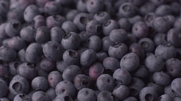 Blueberry Rotating Background. Lot of Ripe Blueberries Close Up. Organic and Healthy Food.