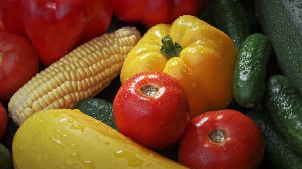 Multicolored Fresh Vegetables: Zucchini, Tomatoes, Cucumbers, Bell Peppers, Corn, with Water