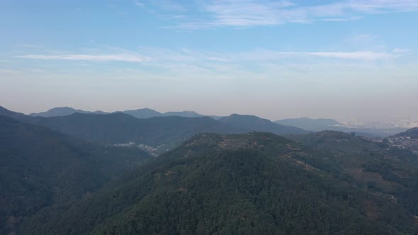 Tea plantation in mountain