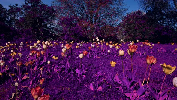 Tulip field on an alien planet or fantasy world