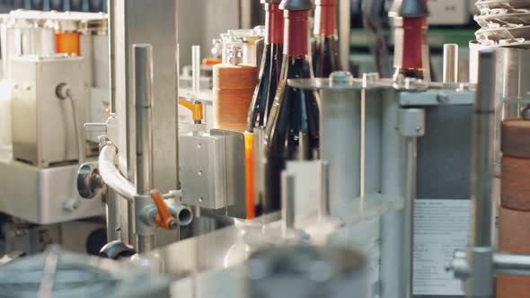 Red Wine bottles labeling process in a wine bottling factory.