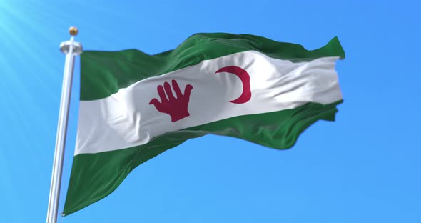 Algerian Nationalists Flag, Algeria