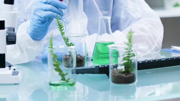 Chemist Making Experiments with GMO on Plants alt
