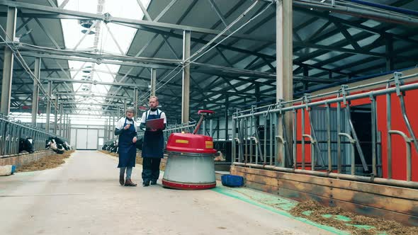 Two Farmworkers are Observing an Automated Feed Pusher at Work