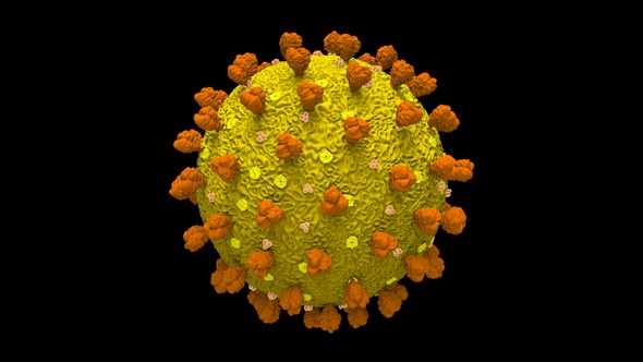Coronavirus Covid 19 Cell alt