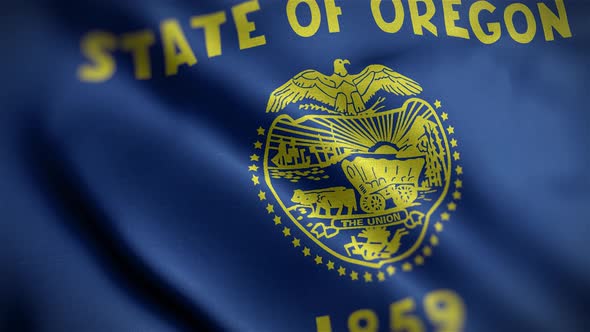 Oregon State Flag Angle