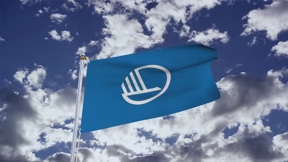 Nordic Council Flag With Sky 4k