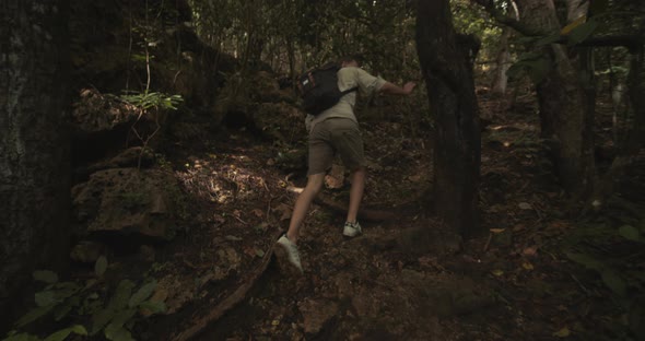 Man in Casual Clothes Climbing Up the Rocky Rainforest Path and Observing Tree Sap on the Tree Trunk
