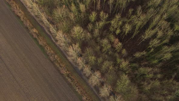 Aerial view of a forest in winter next to an brown agriculture field without anything planted yet