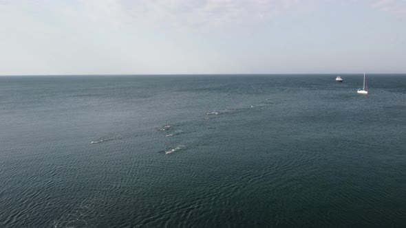 Aerial View From Above on Calm Azure Sea and Volcanic Rocky Shores