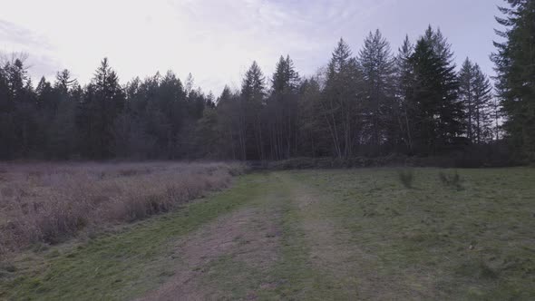 Derby Reach Regional Park in Langley Greater Vancouver British Columbia Canada