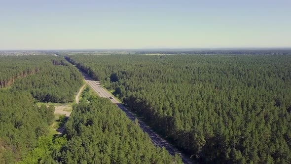 Aerial: Cars Move Along the Highway Through Coniferous Forest. In the Distance You Can See the