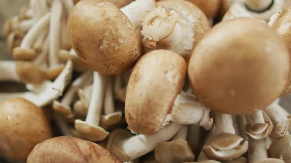 Video of close up of mushrooms on wooden background