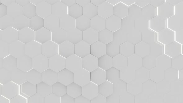 Honeycomb Background Full HD