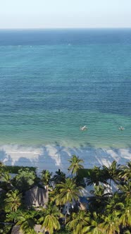 Vertical Video of the Ocean Near the Coast of Zanzibar Tanzania