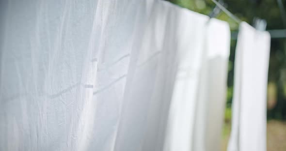 Hanging Laundry Wet Sheets On Clothesline in Countryside in Summer Day