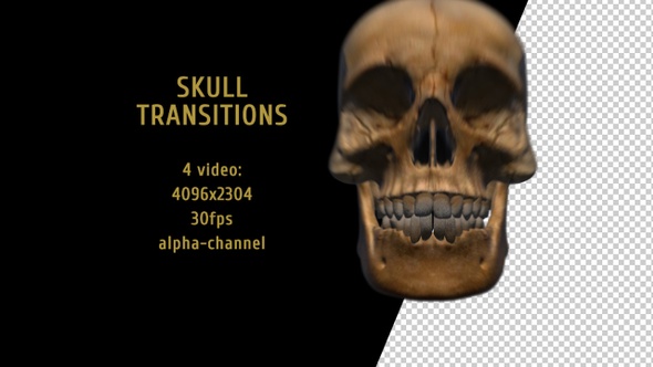 Skull Transitions