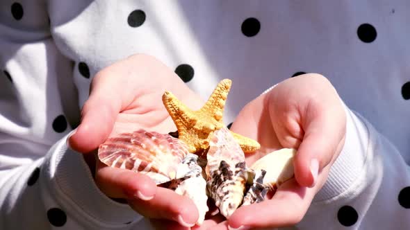 Slow Motion Female Hands Showing Sea Shells Starfish From Vacation