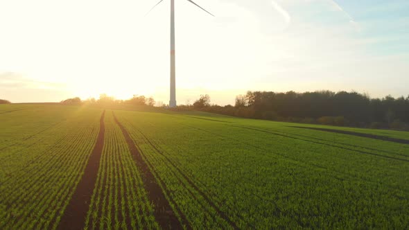 drone flight over green fields with wind turbines into the sunrise